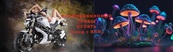 скорость Липки
