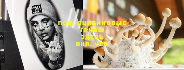 гидропоника Лихославль