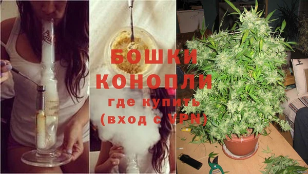 скорость Липки