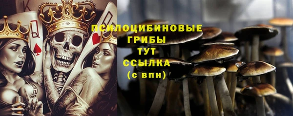 прущая мука Лабытнанги