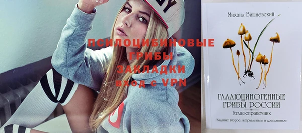 крисы Майский