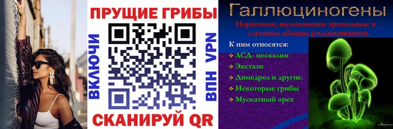 Галлюциногенные грибы Cubensis  Тутаев 