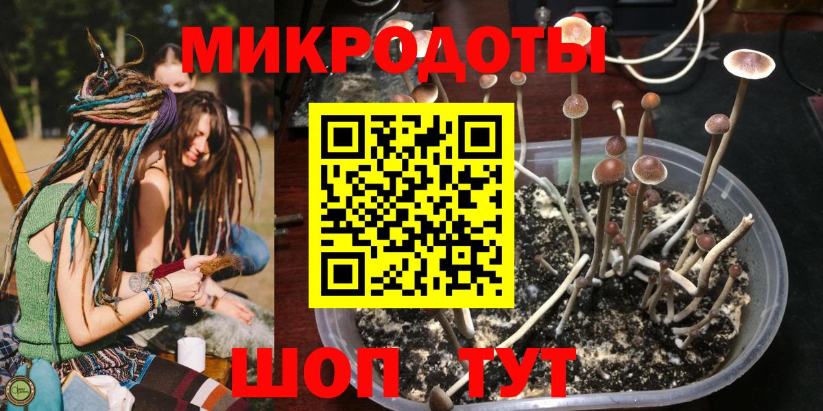 Галлюциногенные грибы Cubensis Тутаев